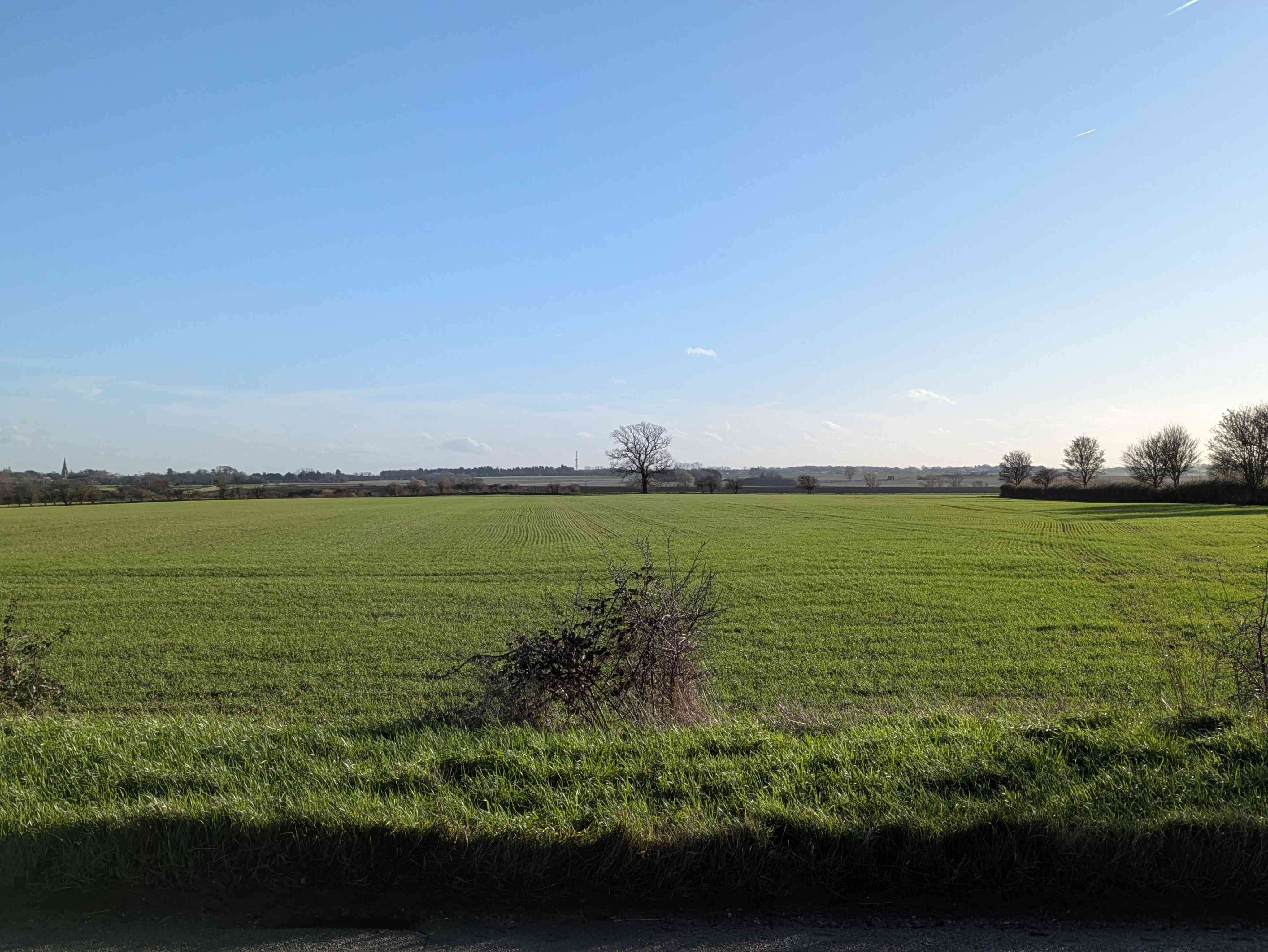 Wide Fenland skies over the Cambridgeshire flatlands