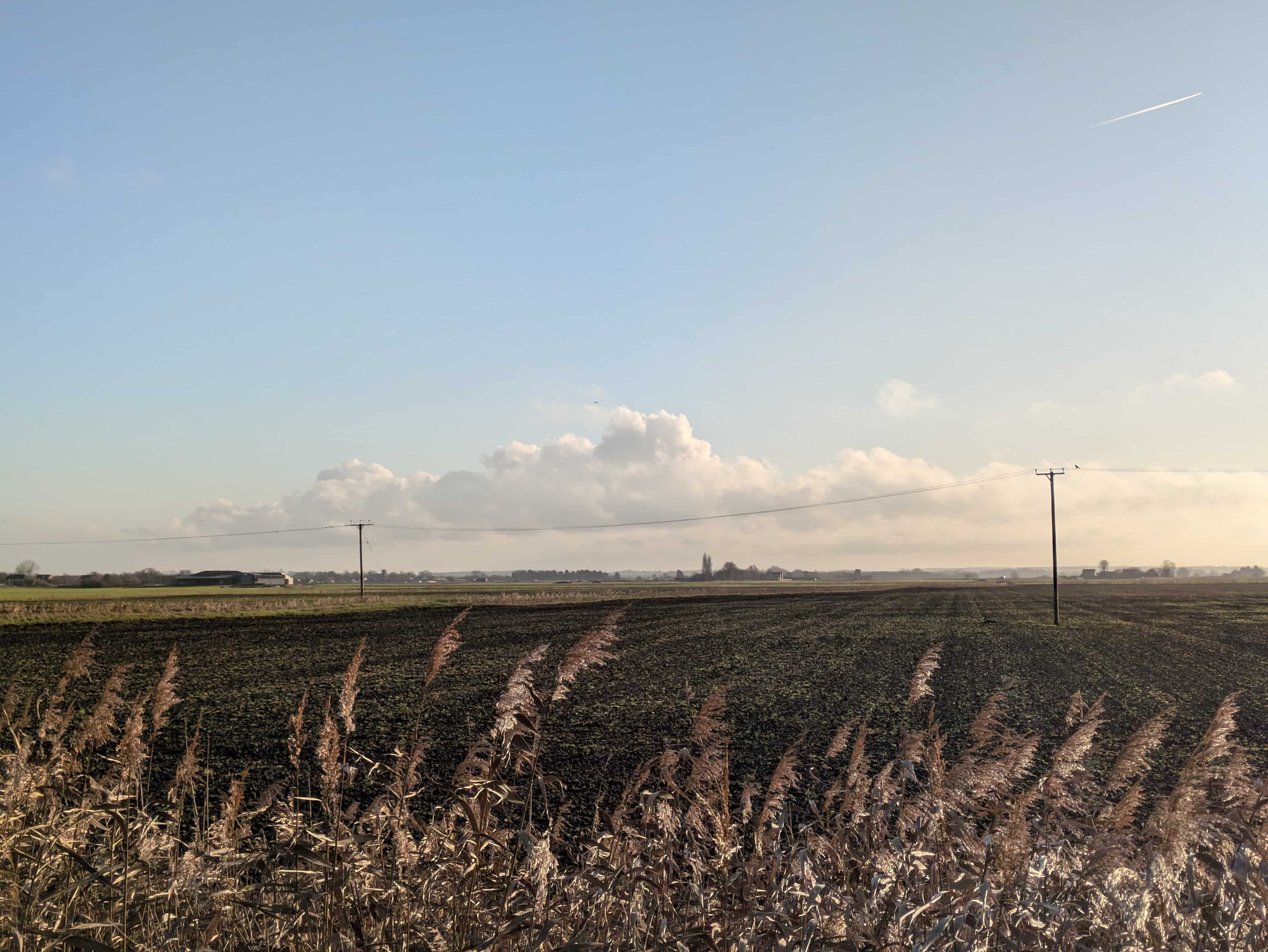 Wide-skies Fenland landscape, Cambridgeshire